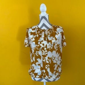 Bird Small Bottom-Banded Top